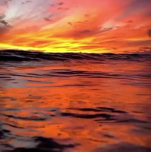 Meet your Posher, Desirea